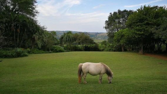 Dayspring Animal Farm