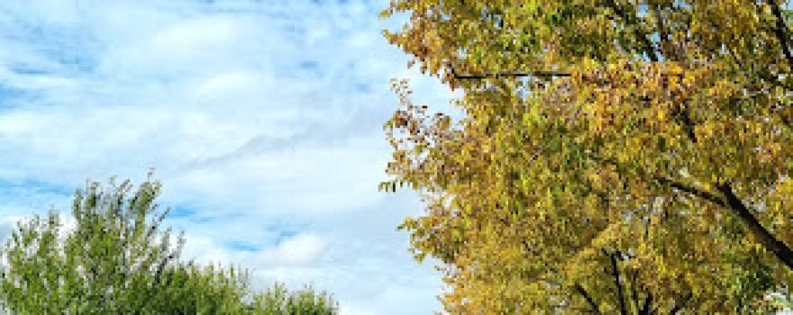 Parc départemental des Lilas