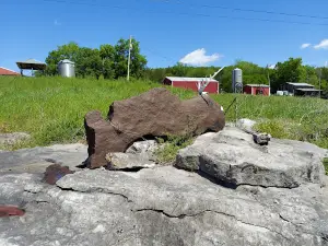 Rock Zoo