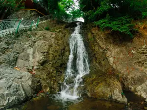 Meşəbəyi.Ailəvi İstirahət Mərkəzi.Lənkəran