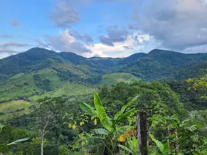 Caica del río Melcocho