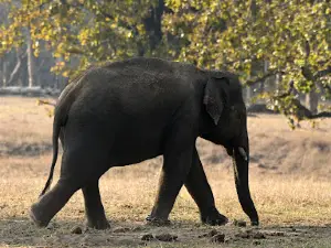 Churna Camp - चूरना चौकी