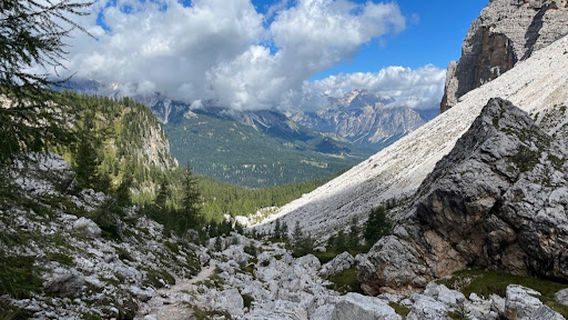 Trailhead: Hiking Track 437