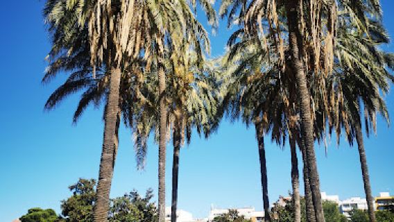 Parque de La Concordia