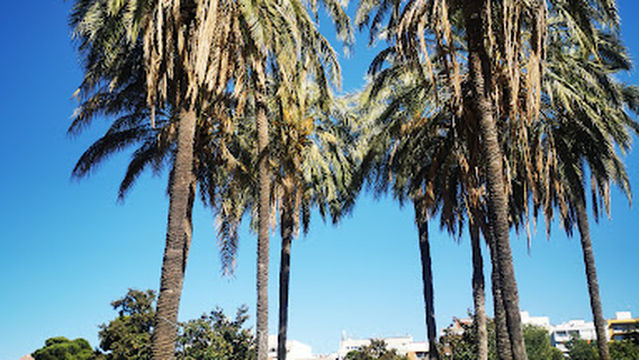 Parque de La Concordia