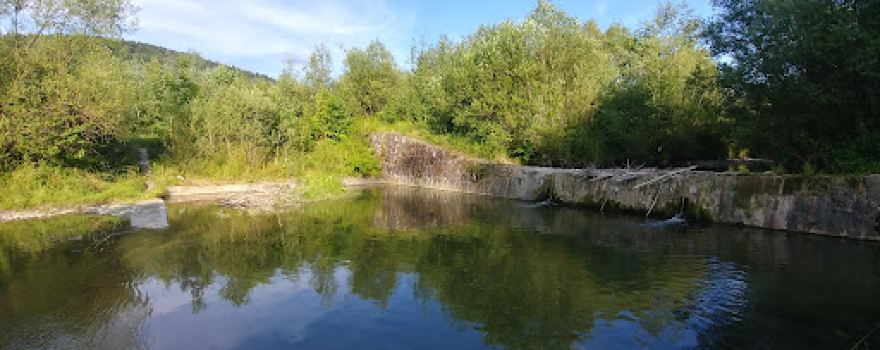 Królówka