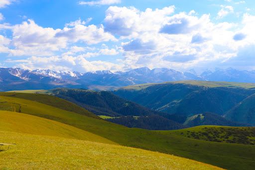 Asy plateau