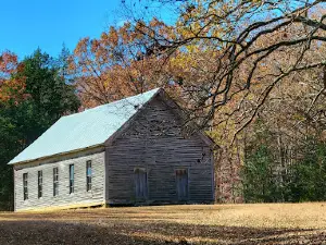 Big Sandy Unit Tennessee National Wildlife Refuge