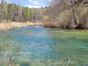 Área recreativa Los Ceños