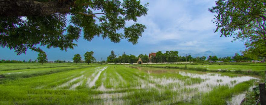 Wat Prakham Aram Si