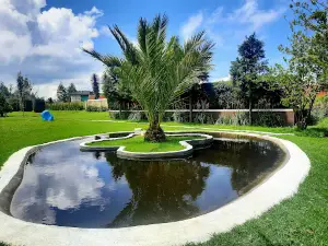 ARBOLES NAVIDEÑOS NATURALES TOLUCA PLANTACION GONZALEZ