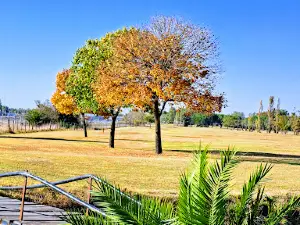 Golf Club Bolivar
