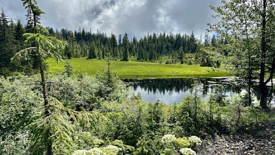 Invited Hidden Lake
