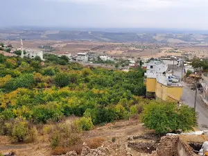 Karaz Nar Bahçeleri