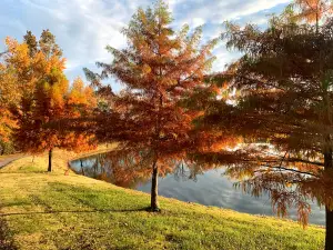 Koeneman Park
