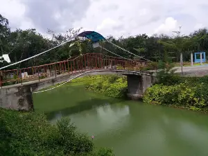Cwp
