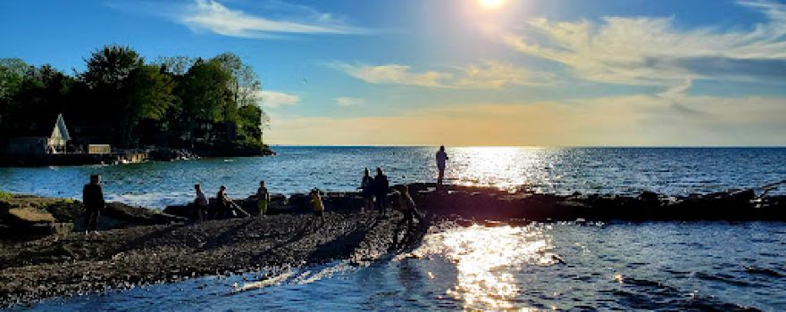 Mill Creek Outlet - Webster Park