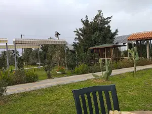 Gaziveren
