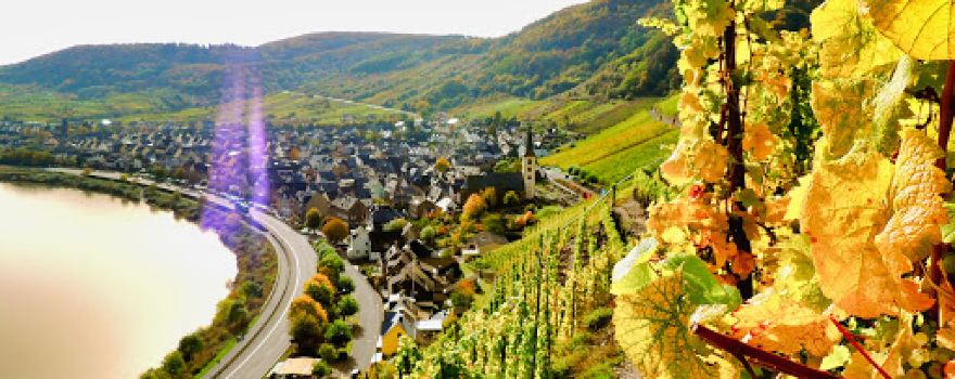 Aussichtspunkt Calmont