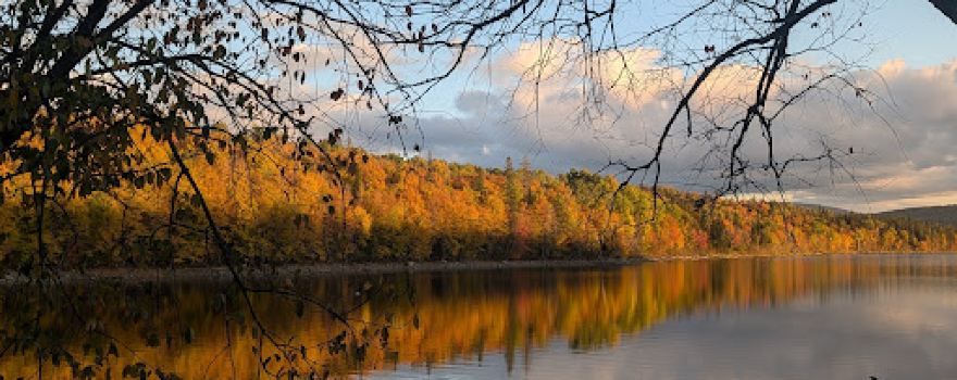 Maplewoods Campground
