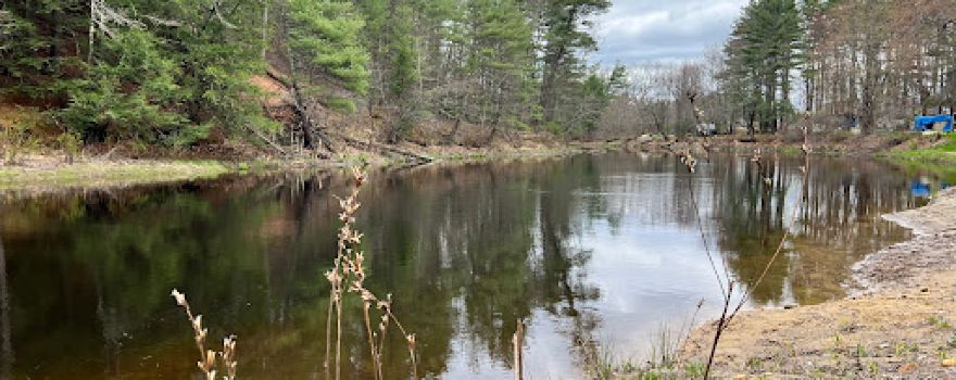 Maple Grove Campground