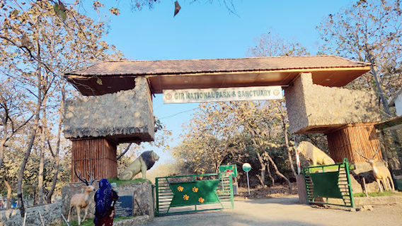Gir National Park