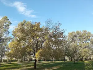 El Triángulo