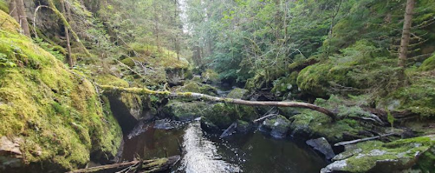 Skomakarens Kammare