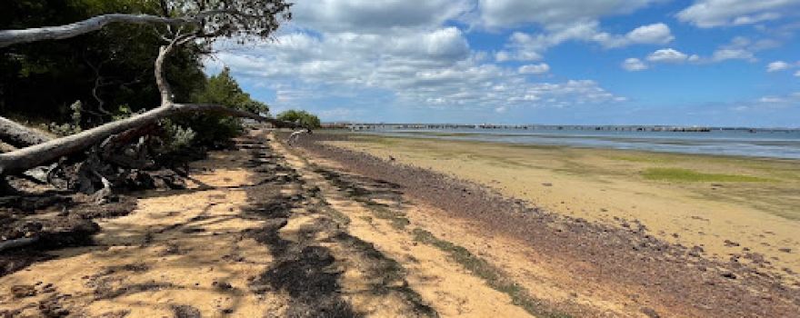 Woolley Beach Reserve