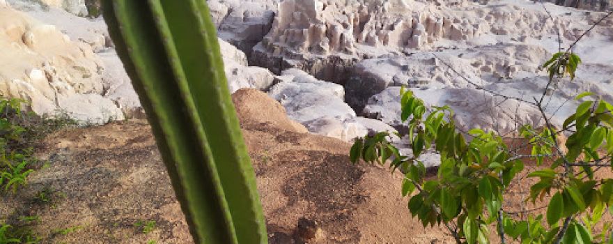 Wisata Bukit Kapur Mini Grand Canyon