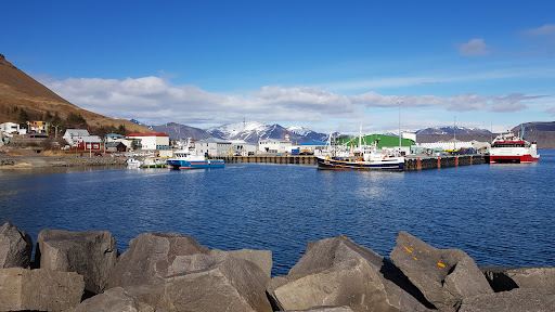 Flüge Reykjavík Bíldudalur