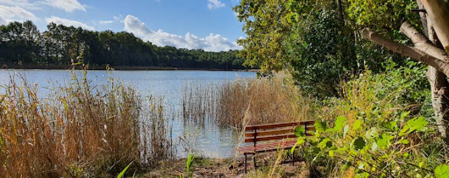 Badestelle am Langer See