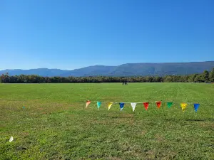 Green Hill Park