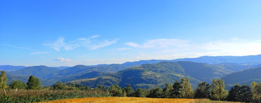 Javor planina