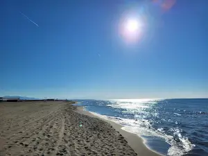Miami Beach