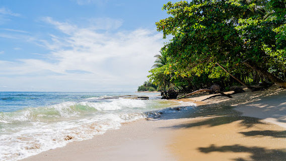 Playa Grande, Punta Uva