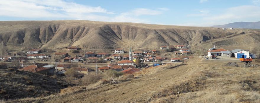Aşağıkamışlıköyü cami