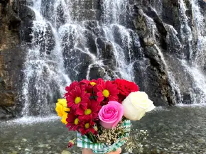Wadi Bani HANY