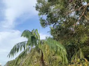 Danau Lebar