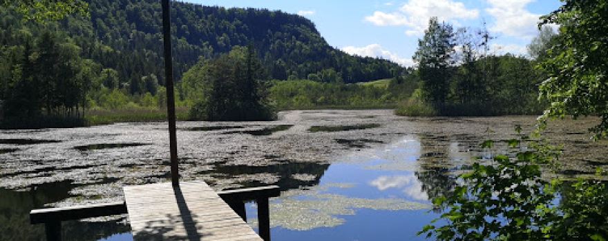 Penkensee