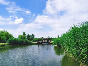City Park (Lake Welfare), Nagyecsed