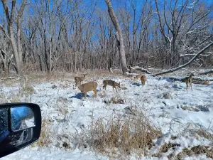 Madigan State Park