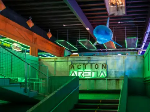 Action Arena
