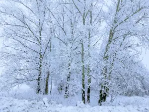 Памятник Польским Лётчикам