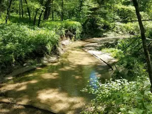 Morwood Campground & Resort