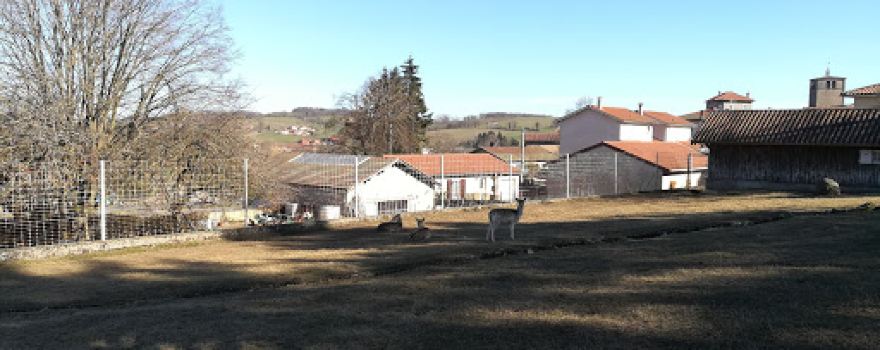 Parc aux Biches