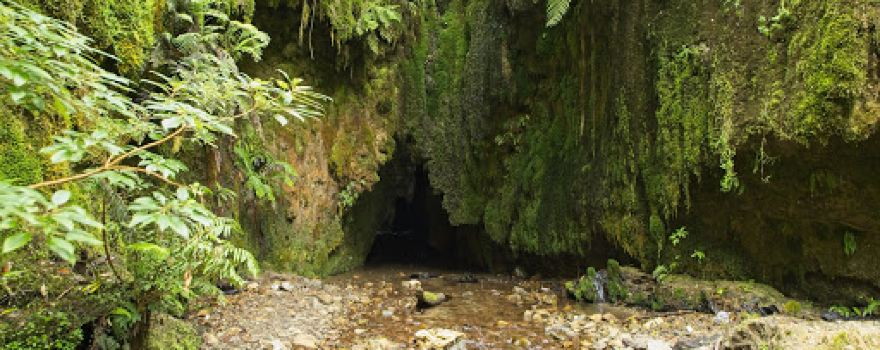 Sixtus Lodge Glow Worm Cave