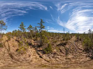 Kõnnu järve matkarada