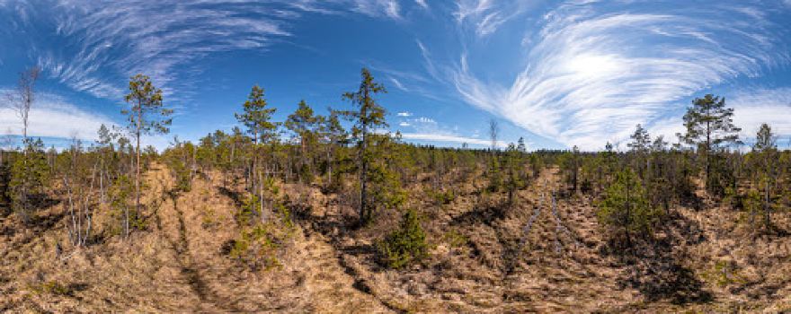 Kõnnu järve matkarada