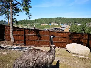 The small zoo